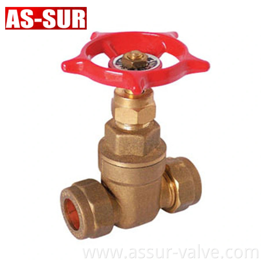 Pex Pipe Brass Gate Valve with Connection as-G010